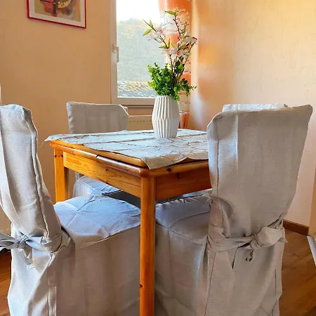 Appartement Schoene Fewo Moselblick Wlan Netflix Freizeitpark *